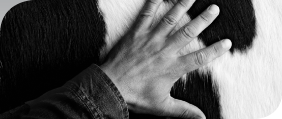 Bannière authentification